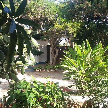 Geriba House Buzios Hotel Bagian luar foto